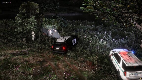 Adventures in the swamps