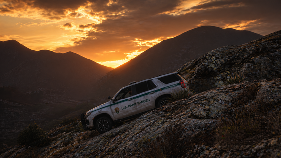 Стражи дикой природы: На грани света и тени