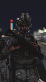 Special Agent Anderson