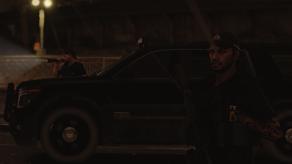 Guardians of the Granger