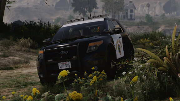 I'll show you an enemy