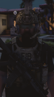 FIB Agent