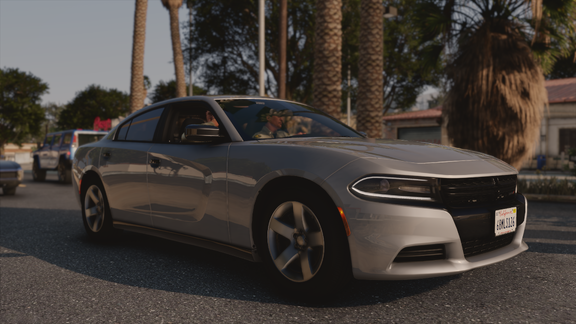 Dodge Unmarked 18