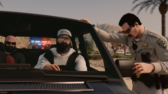 A gun on my hip and the right to arrest