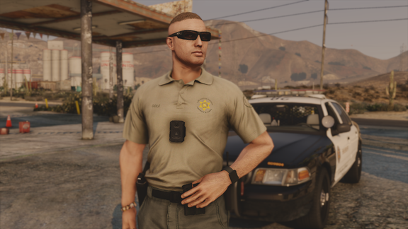 Guns for Hire