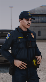 Traffic Officer
