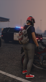 Paleto Bay Vehicle Stop