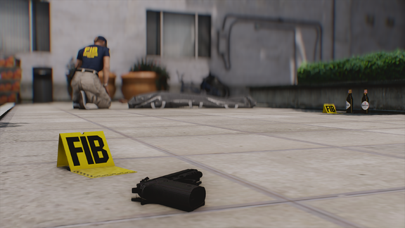Police Incident