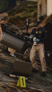 Evidence Call