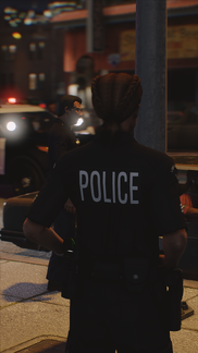 Police Briefing