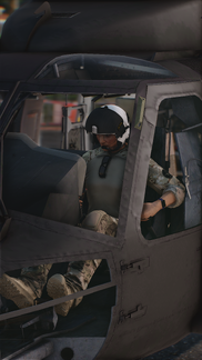 Landing Guard