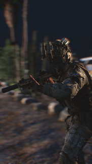 Gun Point
