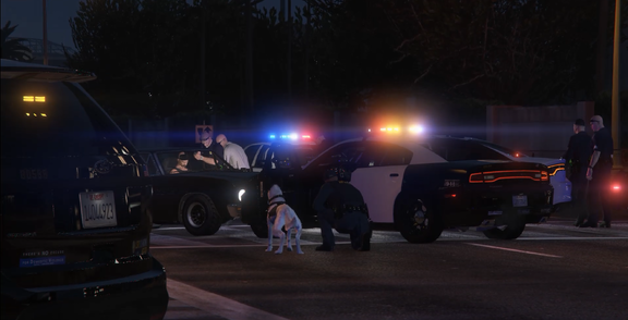 Arrest in progress