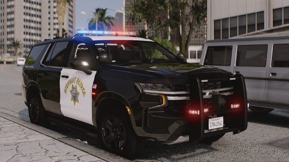 Metro Traffic Stop