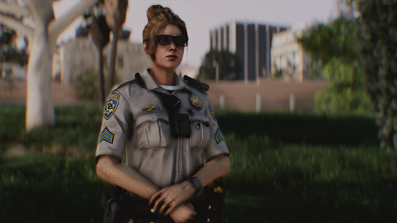 Field Sarge