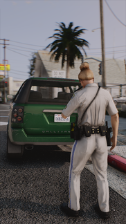 Plate Check Stop