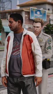 Custody Search