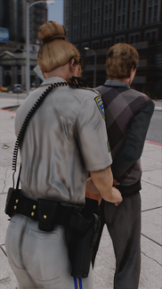 Suspect in Custody
