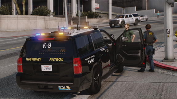 Curbside K-9 Stop
