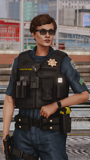 K-9 Loadout Detail