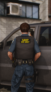 K-9 Unit Back