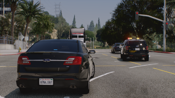 Tail Lights Ahead