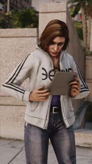 Notes Before the Report