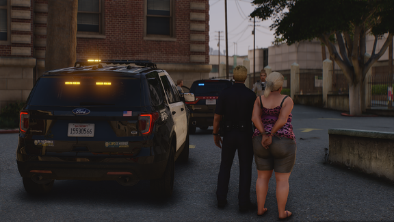 Custody at Dusk