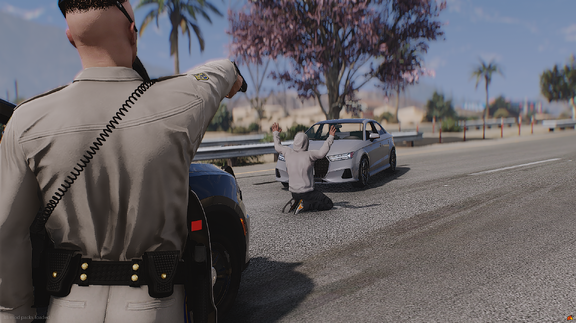 Felony Progress