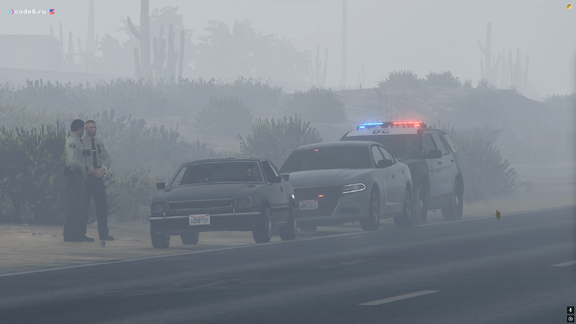 Traffic stop