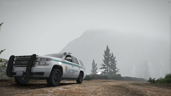 NPS in the fog