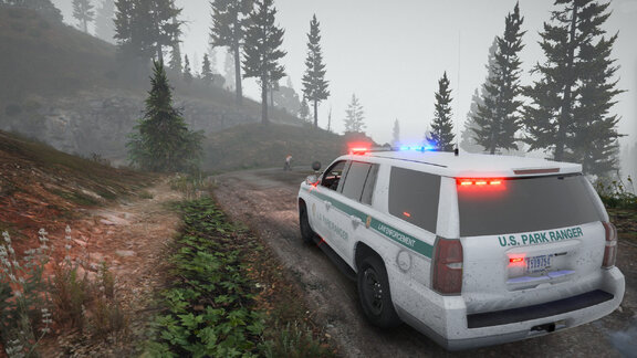 NPS in pursuit