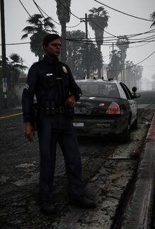Sergeant on duty