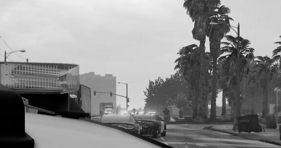 I'm an officer, and I need help.