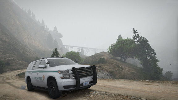 Foggy canyon