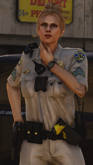 Sergeant’s Judgment