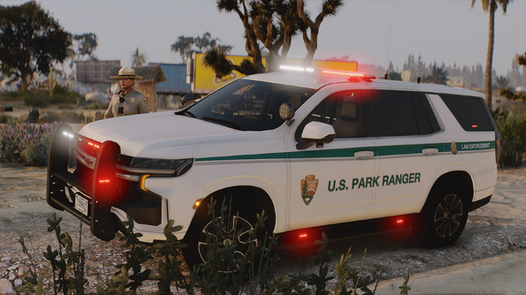 Desert Road Response