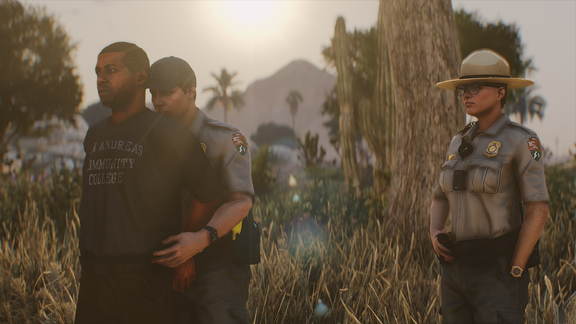 Suspect in Custody