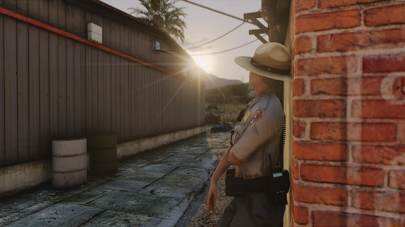 Alleyway Watch