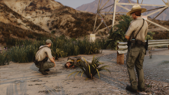 Ground Scene Assessment