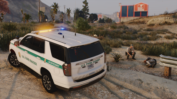 Incident Overview