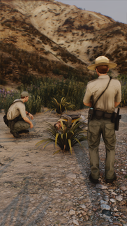 Field Scene Assessment