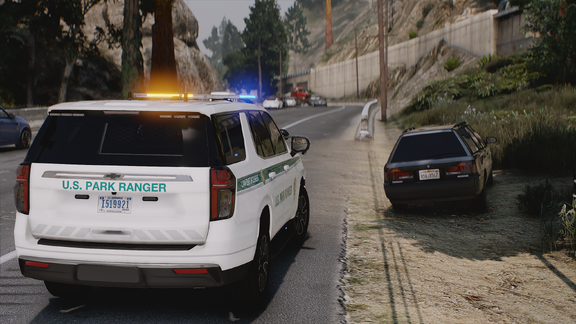 Traffic Stop Overview