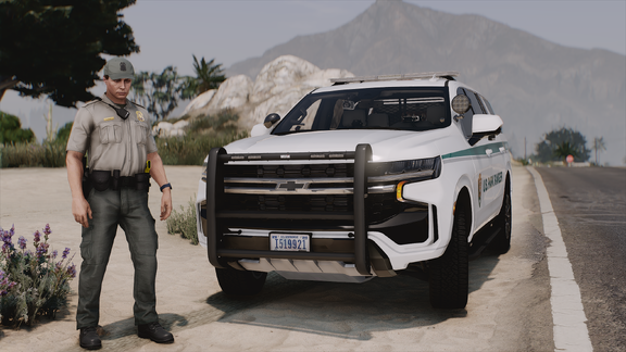 Vehicle Presence Shot