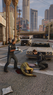 Roadside Contact