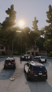 Golden Hour Patrol