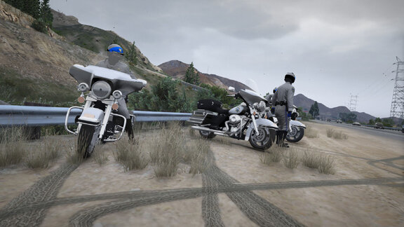 Harleys - kings of the roads