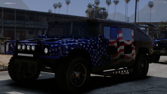 Stars and stripes, not just a flag but a promise
